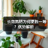 长效氮肥为何更胜一筹?优势解析(图4) 长效氮肥为何更胜一筹?优势解析(图4)