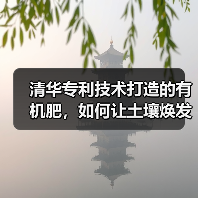 清华专利技术打造的有机肥,如何让土壤焕发生机?(图4) 清华专利技术打造的有机肥,如何让土壤焕发生机?(图4)