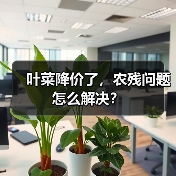 叶菜降价了，农残问题怎么解决？（图1）