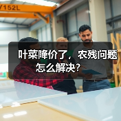 叶菜降价了，农残问题怎么解决？（图4）