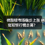 硫酸铵市场稳步上涨 供需双驱行情走高?(图4) 硫酸铵市场稳步上涨 供需双驱行情走高?(图4)