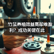 竹鼠养殖效益高却难盈利?成功关键在此(图4) 竹鼠养殖效益高却难盈利?成功关键在此(图4)