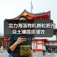 雷力海藻有机颗粒肥改良土壤提质增效(图4) 雷力海藻有机颗粒肥改良土壤提质增效(图4)