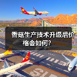 香菇生产技术升级后价格会如何？（图3）