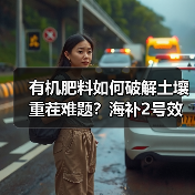 有机肥料如何破解土壤重茬难题?海补2号效果解析(图2) 有机肥料如何破解土壤重茬难题?海补2号效果解析(图2)