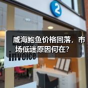 威海鲍鱼价格回落,市场低迷原因何在?(图2) 威海鲍鱼价格回落,市场低迷原因何在?(图2)