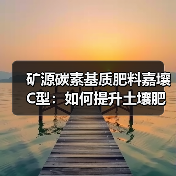 矿源碳素基质肥料嘉壤C型:如何提升土壤肥力与作物品质(图2) 矿源碳素基质肥料嘉壤C型:如何提升土壤肥力与作物品质(图2)