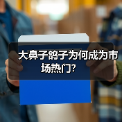 大鼻子鸽子为何成为市场热门?(图1) 大鼻子鸽子为何成为市场热门?(图1)