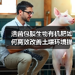 活菌包膜生物有机肥如何高效改善土壤环境提升作物品质(图1) 活菌包膜生物有机肥如何高效改善土壤环境提升作物品质(图1)