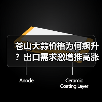 苍山大蒜价格为何飙升？出口需求激增推高涨幅（图1）