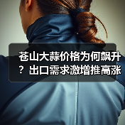苍山大蒜价格为何飙升？出口需求激增推高涨幅（图2）