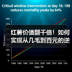 红薯价值翻千倍!如何实现从几毛到百元的逆袭?(图4) 红薯价值翻千倍!如何实现从几毛到百元的逆袭?(图4)