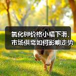 氯化钾价格小幅下滑,市场供需如何影响走势?(图2) 氯化钾价格小幅下滑,市场供需如何影响走势?(图2)
