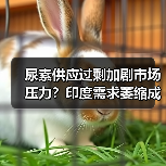 尿素供应过剩加剧市场压力?印度需求萎缩成关键变量(图1) 尿素供应过剩加剧市场压力?印度需求萎缩成关键变量(图1)