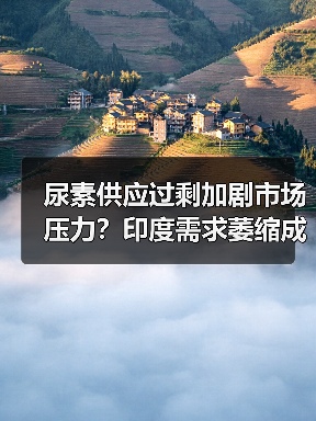 尿素供应过剩加剧市场压力?印度需求萎缩成关键变量(图2) 尿素供应过剩加剧市场压力?印度需求萎缩成关键变量(图2)