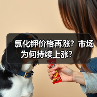 氯化钾价格再涨?市场为何持续上涨?(图2) 氯化钾价格再涨?市场为何持续上涨?(图2)