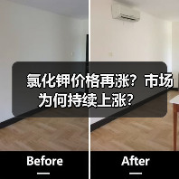 氯化钾价格再涨?市场为何持续上涨?(图3) 氯化钾价格再涨?市场为何持续上涨?(图3)