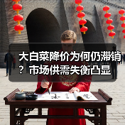 大白菜降价为何仍滞销？市场供需失衡凸显