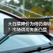 大白菜降价为何仍滞销?市场供需失衡凸显(图4) 大白菜降价为何仍滞销?市场供需失衡凸显(图4)