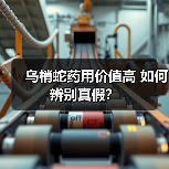 乌梢蛇药用价值高 如何辨别真假？（图3）