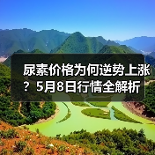 尿素价格为何逆势上涨？5月8日行情全解析（图1）