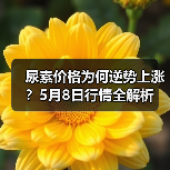 尿素价格为何逆势上涨？5月8日行情全解析（图3）