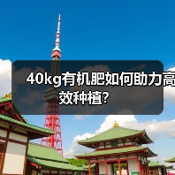 40kg有机肥如何助力高效种植?(图3) 40kg有机肥如何助力高效种植?(图3)