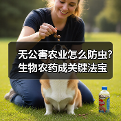无公害农业怎么防虫？生物农药成关键法宝（图4）