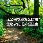 无公害农业怎么防虫？生物农药成关键法宝（图3）
