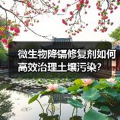 微生物降镉修复剂如何高效治理土壤污染?(图4) 微生物降镉修复剂如何高效治理土壤污染?(图4)