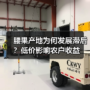 腰果产地为何发展滞后?低价影响农户收益(图2) 腰果产地为何发展滞后?低价影响农户收益(图2)
