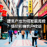 腰果产地为何发展滞后?低价影响农户收益(图1) 腰果产地为何发展滞后?低价影响农户收益(图1)