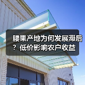 腰果产地为何发展滞后?低价影响农户收益(图4) 腰果产地为何发展滞后?低价影响农户收益(图4)