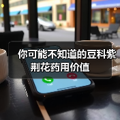 你可能不知道的豆科紫荆花药用价值(图2) 你可能不知道的豆科紫荆花药用价值(图2)