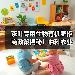 茶叶专用生物有机肥招商政策揭秘！中科农业助力茶园增产（图1）