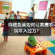 锦鲤鱼苗如何让高唐农民年入过万？