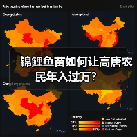 锦鲤鱼苗如何让高唐农民年入过万？（图3）