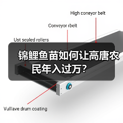 锦鲤鱼苗如何让高唐农民年入过万？（图4）