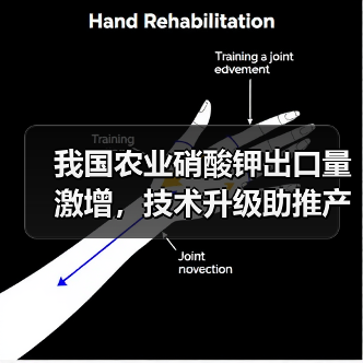 我国农业硝酸钾出口量激增,技术升级助推产量飞跃(图2) 我国农业硝酸钾出口量激增,技术升级助推产量飞跃(图2)