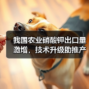 我国农业硝酸钾出口量激增,技术升级助推产量飞跃(图3) 我国农业硝酸钾出口量激增,技术升级助推产量飞跃(图3)
