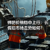 钾肥价格稳中上行:长假后市场走势如何?(图4) 钾肥价格稳中上行:长假后市场走势如何?(图4)