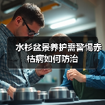 水杉盆景养护需警惕赤枯病如何防治(图4) 水杉盆景养护需警惕赤枯病如何防治(图4)