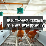 硫酸钾价格为何本周逆势上扬?市场转强引关注(图1) 硫酸钾价格为何本周逆势上扬?市场转强引关注(图1)
