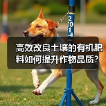 高效改良土壤的有机肥料如何提升作物品质?(图2) 高效改良土壤的有机肥料如何提升作物品质?(图2)