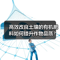 高效改良土壤的有机肥料如何提升作物品质?(图4) 高效改良土壤的有机肥料如何提升作物品质?(图4)