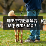 钾肥库存激增背后:价格下行压力加剧?(图1) 钾肥库存激增背后:价格下行压力加剧?(图1)
