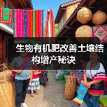 生物有机肥改善土壤结构增产秘诀(图3) 生物有机肥改善土壤结构增产秘诀(图3)