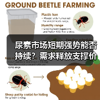 尿素市场短期强势能否持续?需求释放支撑价格上行(图4) 尿素市场短期强势能否持续?需求释放支撑价格上行(图4)