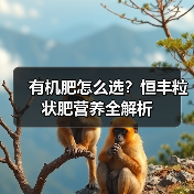 有机肥怎么选?恒丰粒状肥营养全解析(图3) 有机肥怎么选?恒丰粒状肥营养全解析(图3)