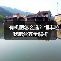 有机肥怎么选?恒丰粒状肥营养全解析(图4) 有机肥怎么选?恒丰粒状肥营养全解析(图4)